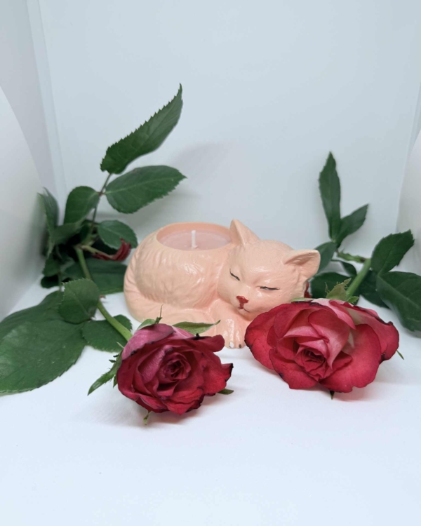 Lumanare Recipient Pisica